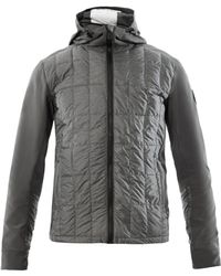 canada goose branta fernie canada goose branta fernie