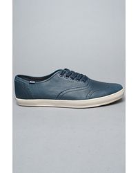 keds champion brogue