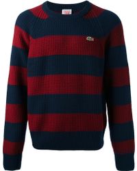 red white and blue lacoste sweater
