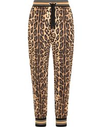 Dolce & Gabbana - Jogginghose aus Jersey mit Leopardenprint - Lyst