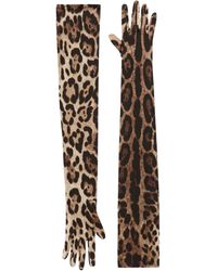 Dolce & Gabbana - Lange Handschuhe aus Stretch-Satin mit Leopardenprint - Lyst