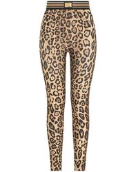 Dolce & Gabbana - Leopard-print Spandex/jersey leggings - Lyst