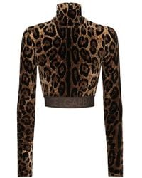 Dolce & Gabbana - Chenille Turtle-Neck Top With Jacquard Leopard Design - Lyst