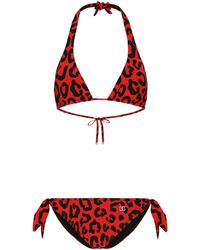 Dolce & Gabbana - Bikini à imprimé léopard - Lyst