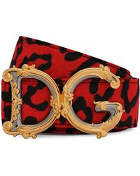 Dolce & Gabbana - Brokat-Gürtel mit Leopardenprint und barockem DG-Logo - Lyst