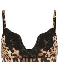 Dolce & Gabbana - Leopard-print Soft-cup Satin Bra With Lace Detailing - Lyst