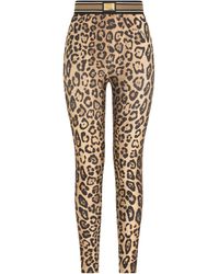 Dolce & Gabbana - Leggings aus Spandex/Jersey mit Leopardenprint - Lyst