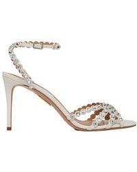 aquazzura tequila 85