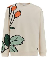 Loewe Cotton Oversized Herbarium Sweatshirt in White for Men | Lyst