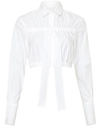 Patou - Cropped Bow Shirt - Lyst