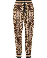 Dolce & Gabbana - Jersey jogging Pants With Leopard Print - Lyst