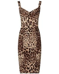 Dolce & Gabbana - Leopard-Print Cady Corset-Style Midi Dress - Lyst