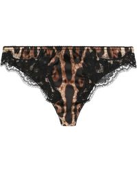 Dolce & Gabbana - Leopard-print Satin Thong With Lace Detailing - Lyst