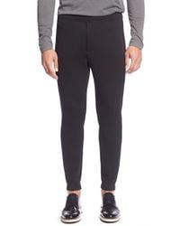 theory sweatpants