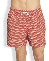 ferragamo swim trunks
