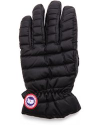 canada goose mittens price canada goose mittens price