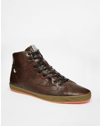 fish n chips shoes website