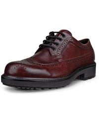 Ecco - Schnürschuh Metropole Oslo - Lyst