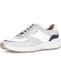 Gabor - Sneaker - Lyst