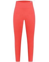 Smilodox - Sporthose Amaze Pro - Lyst