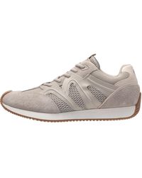 Joop! - Sneaker Velluto Misto Leone - Lyst