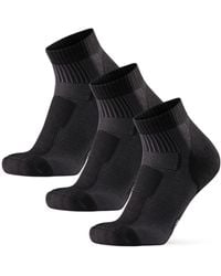 Danish Endurance - Wandersocken Merino Hiking Low - Lyst