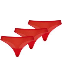 Teyli - String Nikola - Lyst