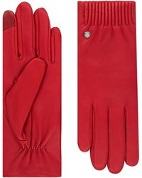 Roeckl Sports - Lederhandschuhe Arizona Touch - Lyst