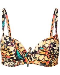 Lingadore - Bikinitop - Lyst