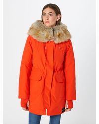 Calvin Klein Parka - Orange