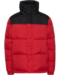 Solid - Winterjacke - Lyst