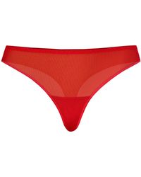 Teyli - String Nikola - Lyst