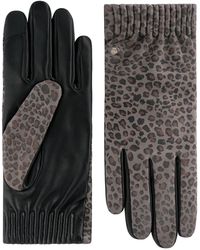 Roeckl Sports - Fingerhandschuhe Serengeti Touch - Lyst