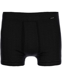 Ammann - Pants - Lyst