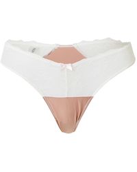 Wild Lovers - String Solene - Lyst