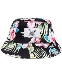 Blackskies - Hut Oahu - Lyst