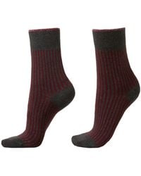 Calzedonia - Socken - Lyst
