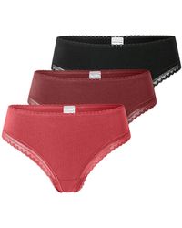 Schiesser - String - Lyst