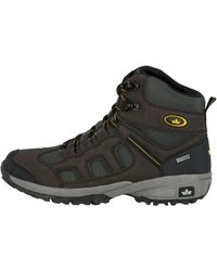 Lico - Boots - Lyst