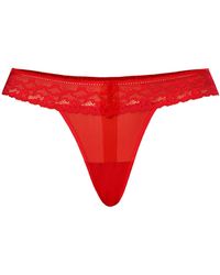 Teyli - String Leo - Lyst
