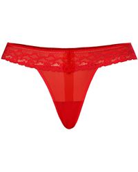 Teyli - String Leo - Lyst