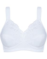 SUSA - Bh Basic - Lyst