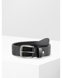 Paddock's - Gürtel - Lyst