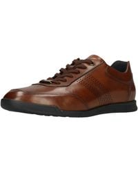 Salamander - Sneaker - Lyst
