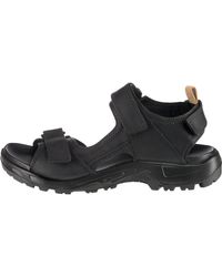 Ecco Sandalen - Schwarz