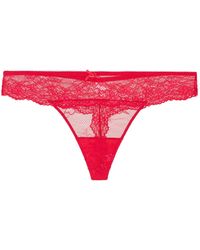 Lingadore - String Daily - Lyst