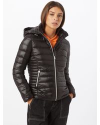 Calvin Klein Steppjacke - Schwarz