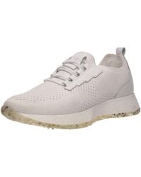 Salamander - Sneaker Low - Lyst
