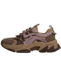 Steve Madden - Sneaker Animates-E - Lyst