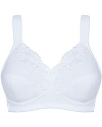 SUSA - Bh Basic - Lyst
